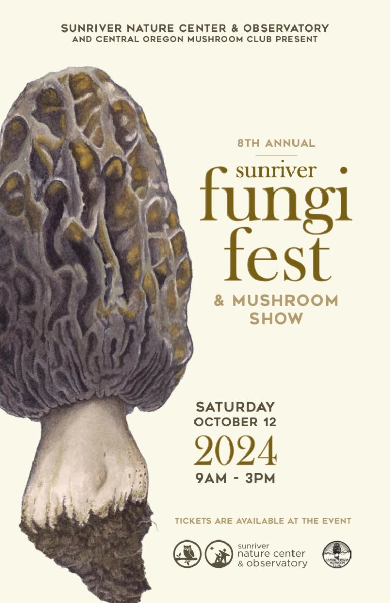 2024 Fungi Fest, Saturday,  October 12